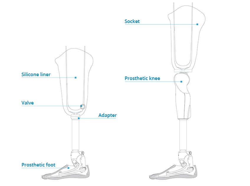 Components-of-prosthetic-legs-ossur